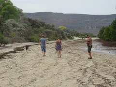 DSC02109