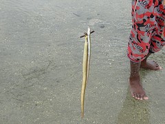 DSC02136
