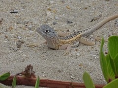 DSC02144