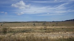 IMGP3427