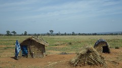 IMGP3441