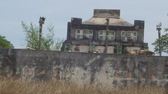 IMGP3456