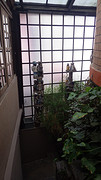 IMGP3483