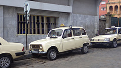 IMGP3484