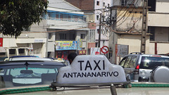 IMGP3491
