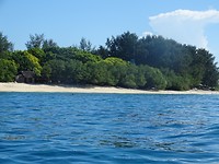 DSC03936