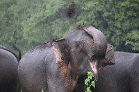 IMG_2093