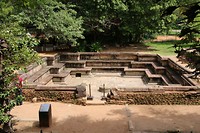 IMG_2171