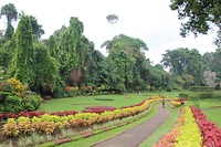 IMG_2251