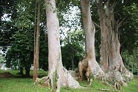 IMG_2255