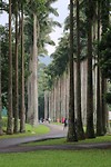 IMG_2256