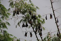 IMG_2258