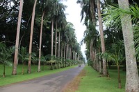IMG_2263