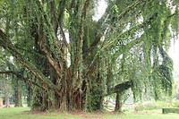 IMG_2265