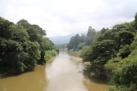 IMG_2266