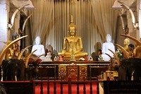 IMG_2290