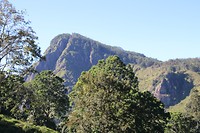 IMG_2406