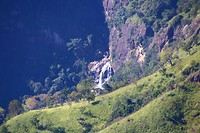 IMG_2414