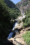 IMG_2425