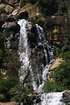 IMG_2429