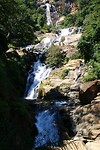 IMG_2430