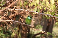 IMG_2437