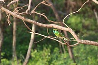 IMG_2440
