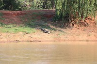 IMG_2448