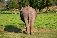 IMG_2460