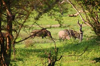 IMG_2463