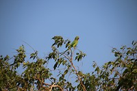 IMG_2470