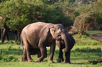 IMG_2475
