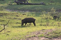 IMG_2490