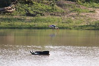 IMG_2492