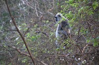 IMG_2509