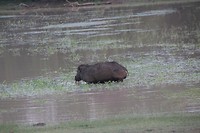 IMG_2510