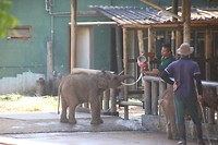 IMG_2521