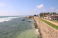 IMG_2544