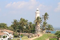 IMG_2550