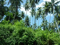 P1000153