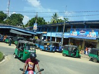 P1000155