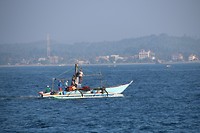 IMG_2563