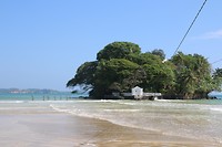 IMG_2572