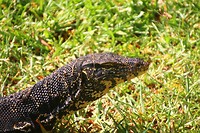 IMG_2574