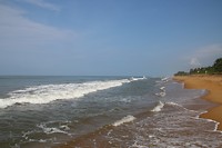 IMG_2575