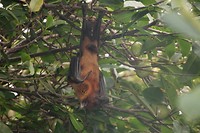 IMG_2579