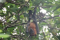 IMG_2582