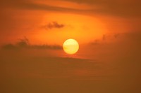 IMG_2589