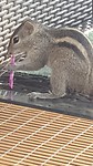 IMG-20171118-WA0008