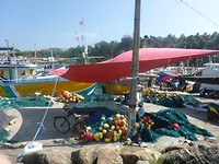 P1000159